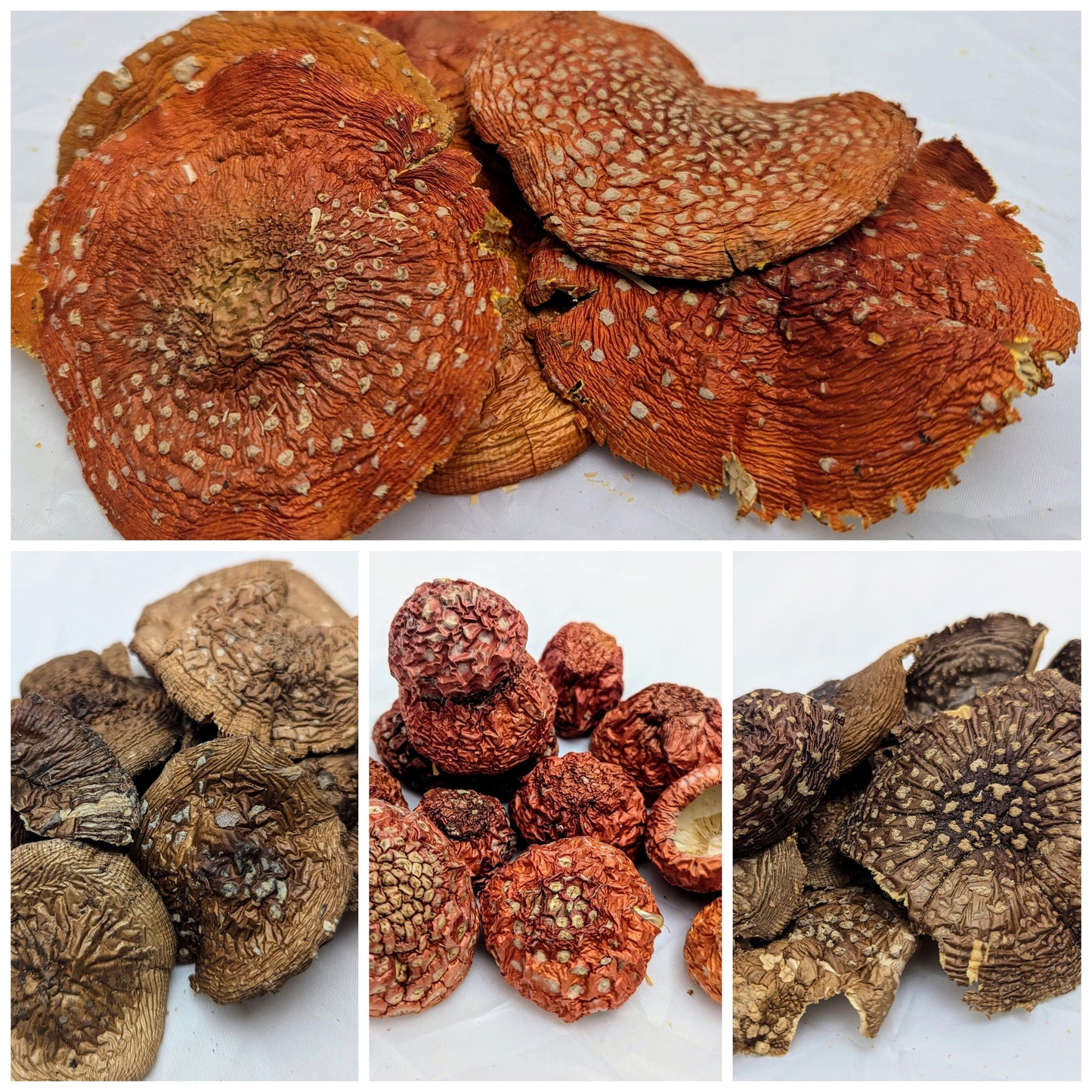 Amanita Räucher Set